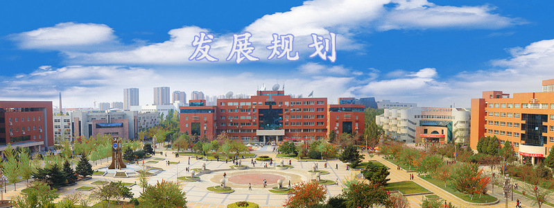 发展规划
